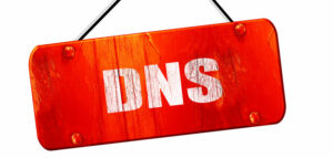 What is the DNS NS record?